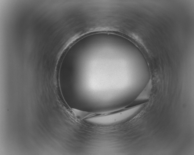 X0000062911173200601271732