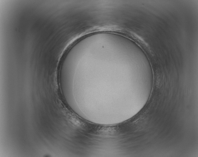 X0000062911174200601271732