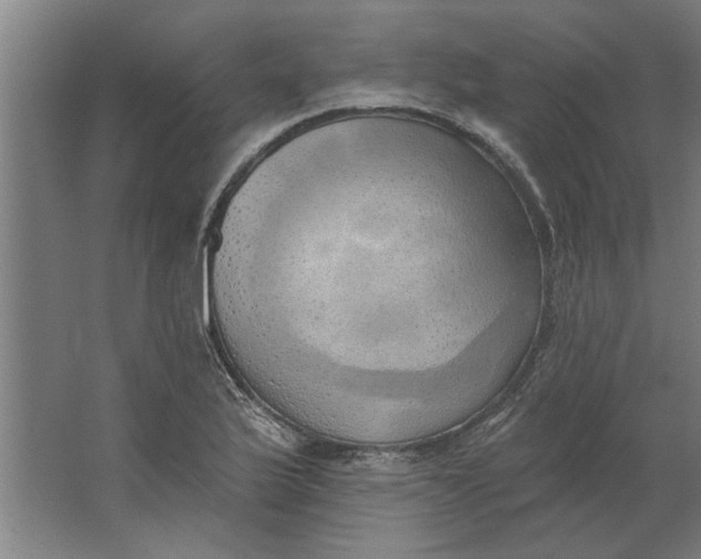 X0000062911175200601271732