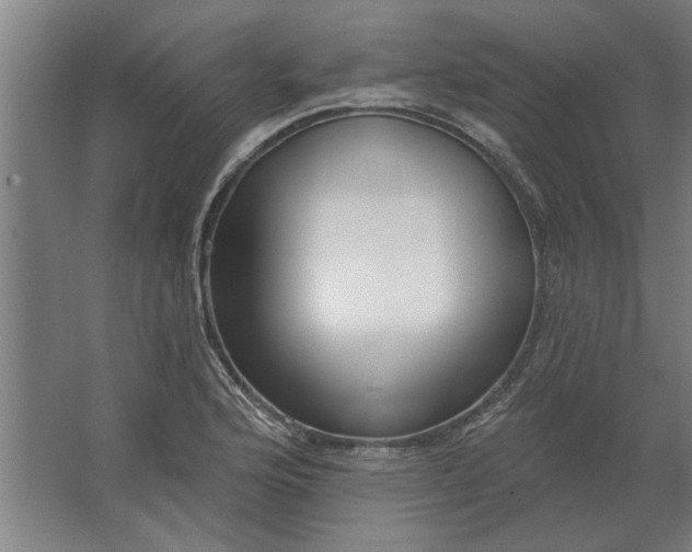 X0000062911176200601271732