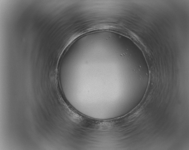 X0000062911178200601271732