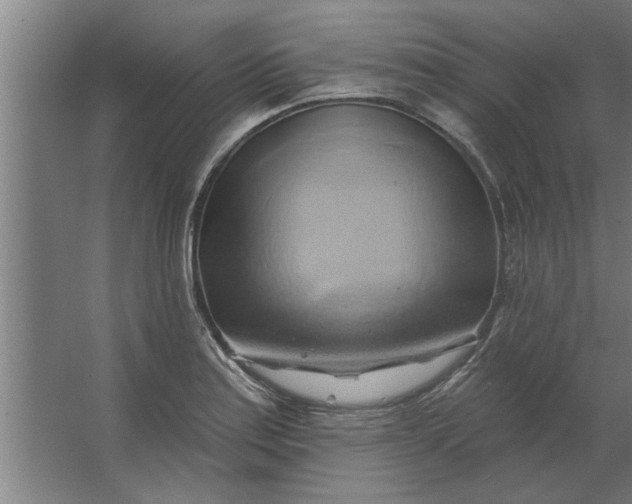 X0000062911179200601271732