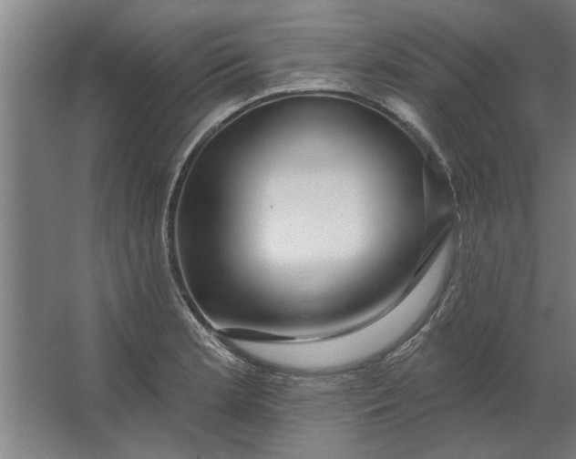 X0000062911181200601271732