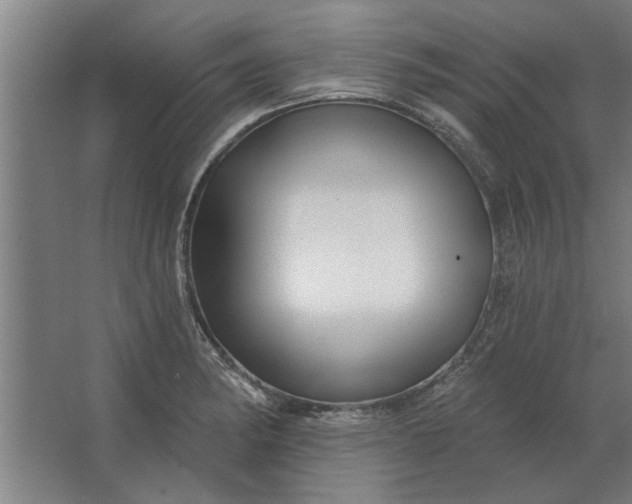 X0000062911182200601271732