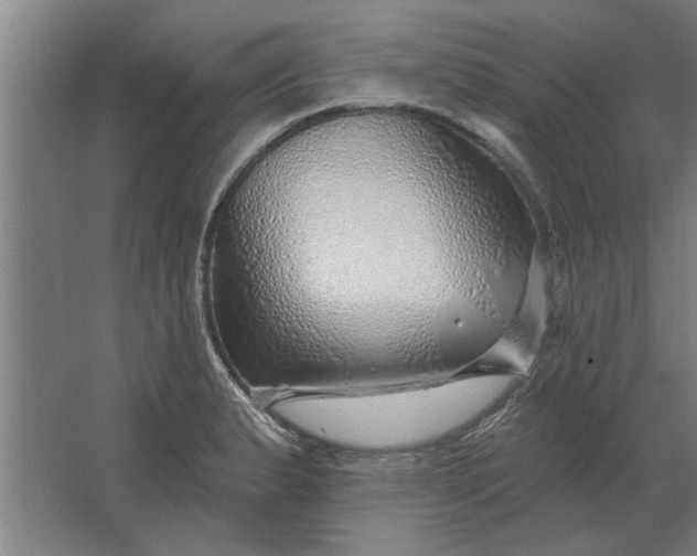 X0000062911183200601271731