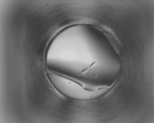 X0000062911184200601271731