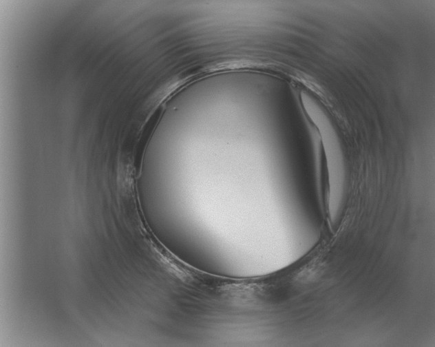 X0000062911185200601271731