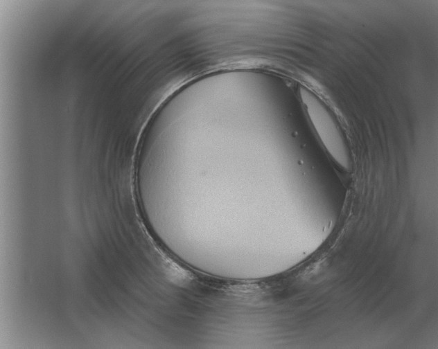 X0000062911186200601271731