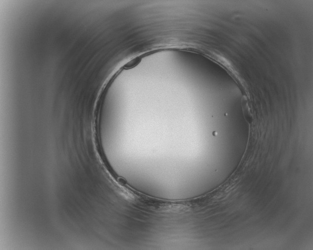 X0000062911187200601271731