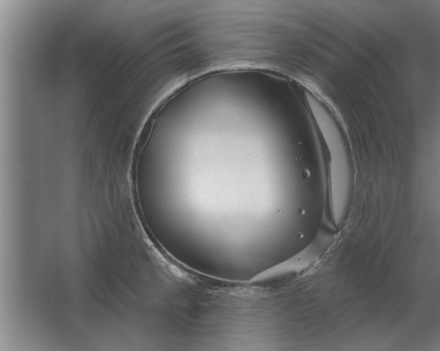 X0000062911189200601271731