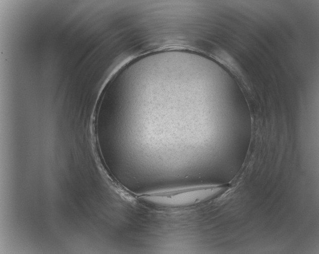 X0000062911190200601271731