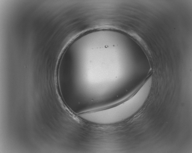 X0000062911191200601271731