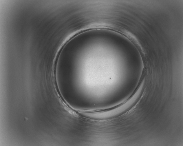 X0000062911192200601271731