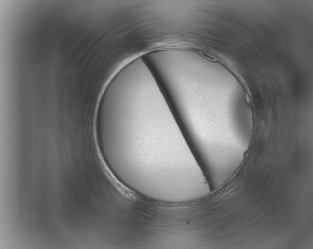 X0000062911195200601271731