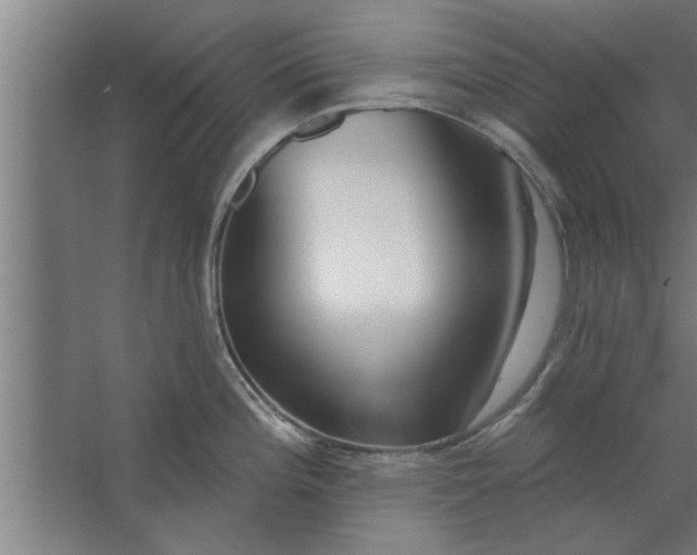 X0000062911196200601271731