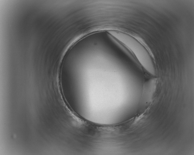 X0000062911197200601271731