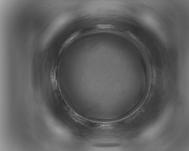 X0000062911198200601271731