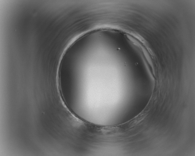 X0000062911199200601271731