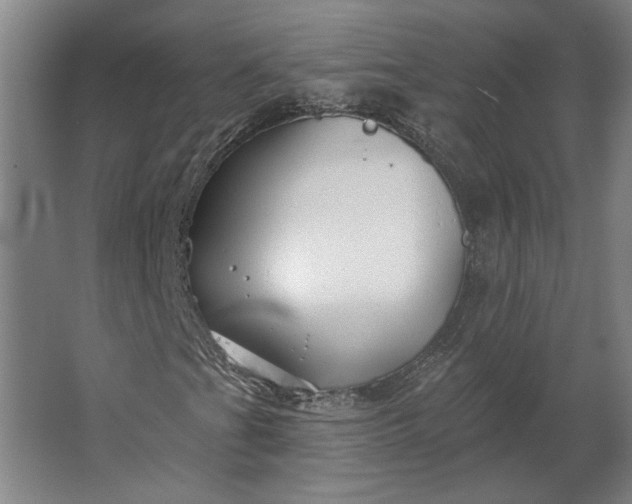 X0000062911201200601271730