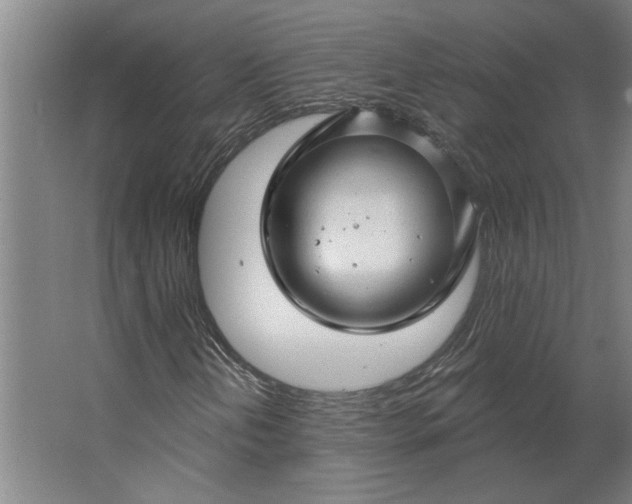 X0000062911202200601271730