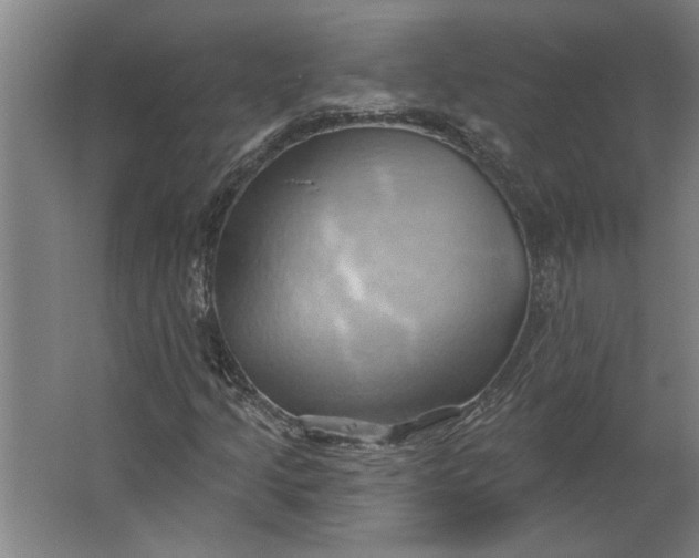 X0000062911205200601271730