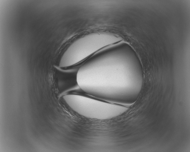 X0000062911206200601271730