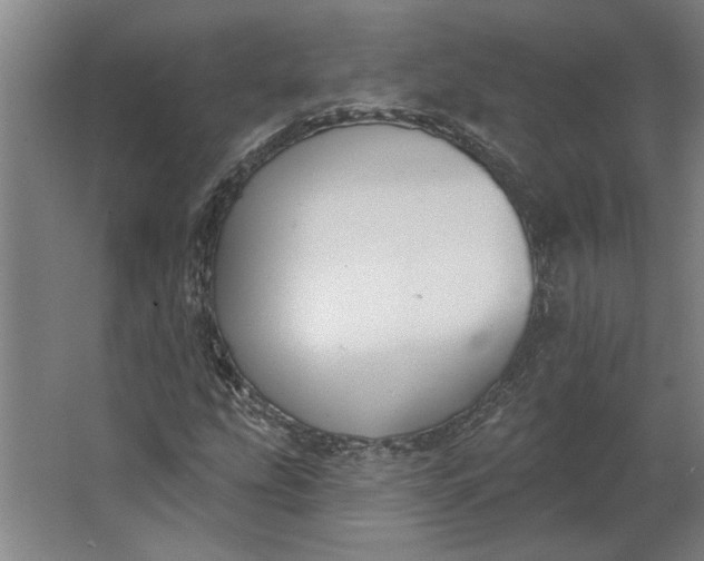 X0000062911207200601271731