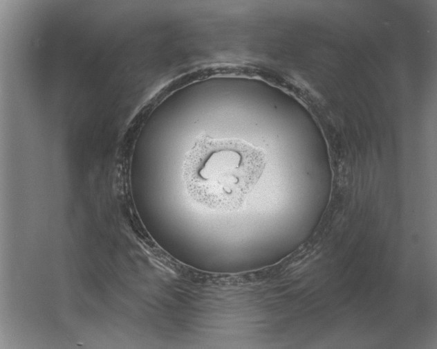 X0000062911208200601271731