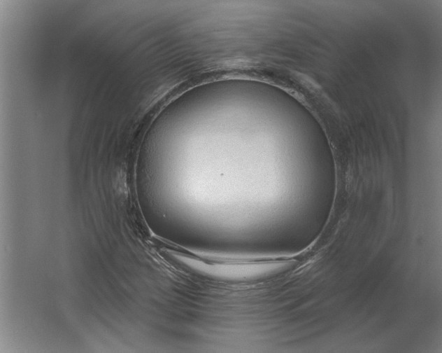 X0000062911209200601271731