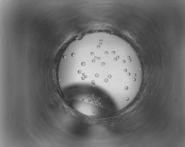 X0000062911211200601271731