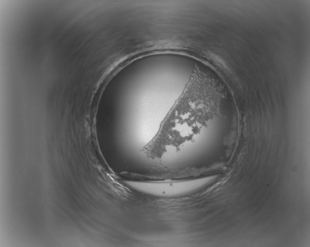 X0000062911212200601271731