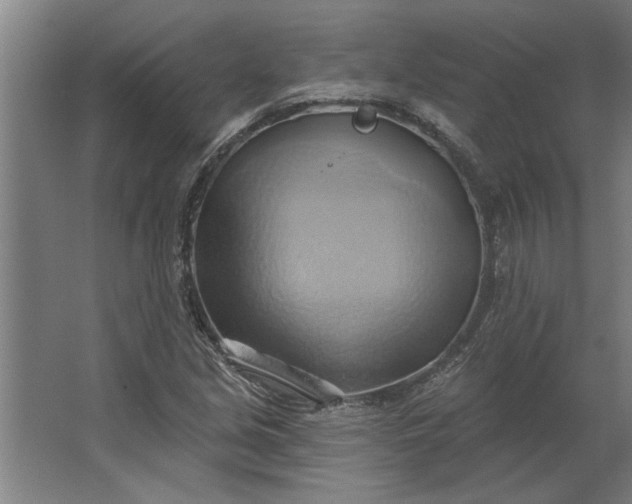 X0000062911213200601271731