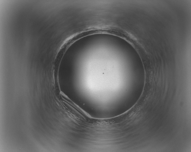 X0000062911214200601271731