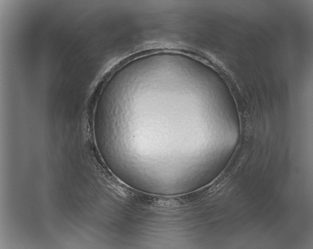 X0000062911215200601271731