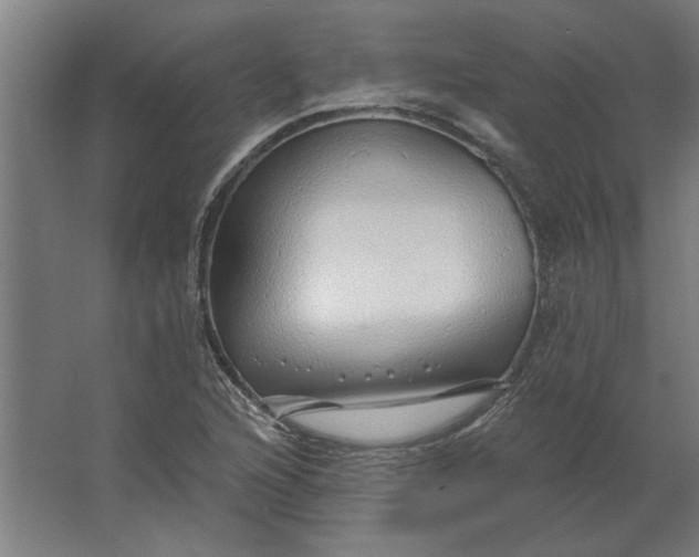 X0000062911216200601271731