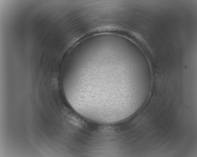 X0000062911217200601271731