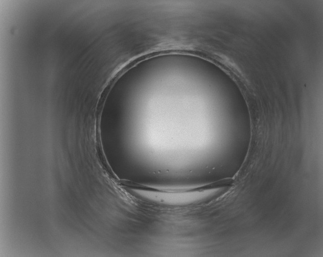 X0000062911220200601271731