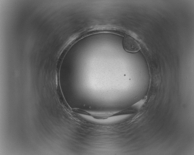 X0000062911221200601271731