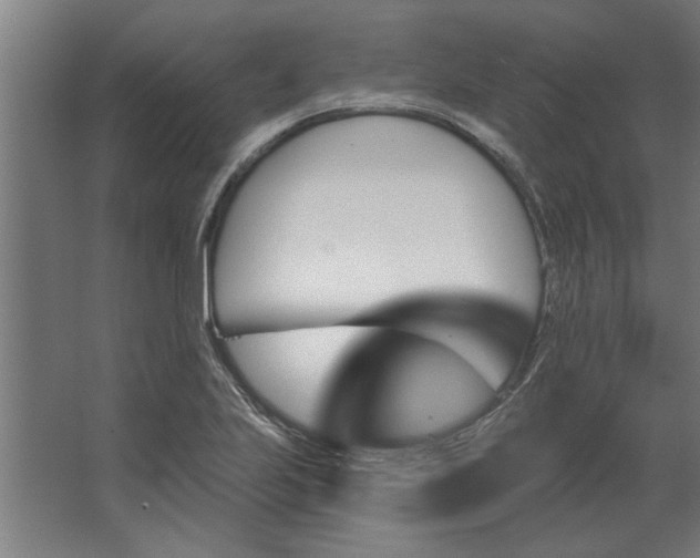 X0000062911223200601271731