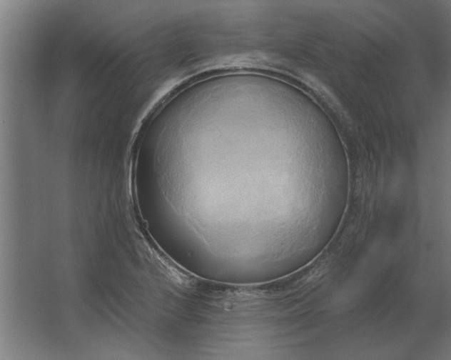 X0000062911224200601271731