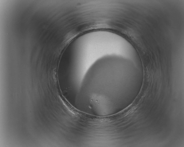 X0000062911225200601271731