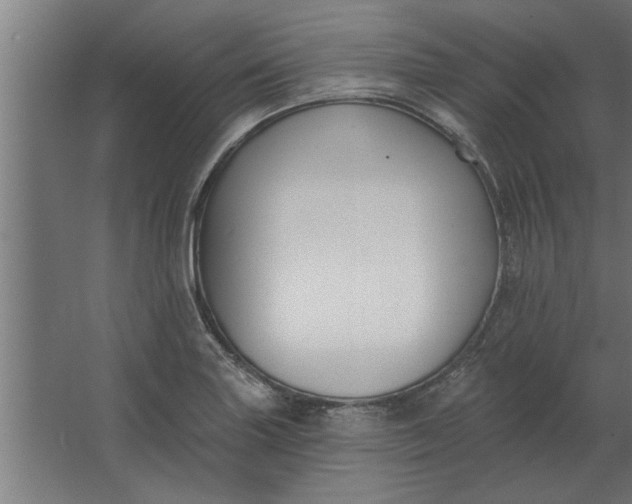 X0000062911227200601271731