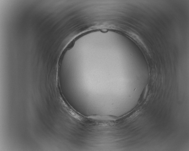 X0000062911228200601271731