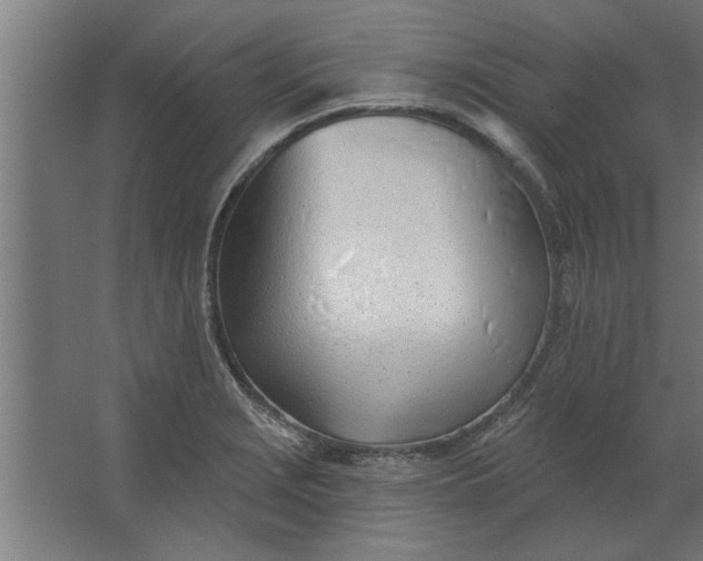 X0000062911229200601271731