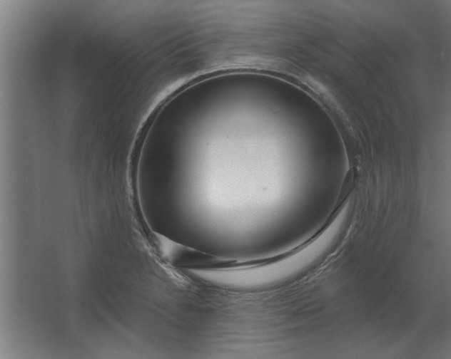 X0000062911230200601271731