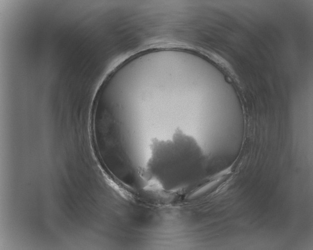 X0000062911231200601271731