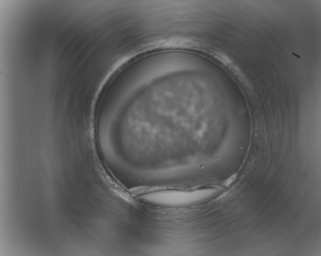 X0000062911232200601271731