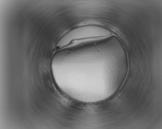 X0000062911233200601271731