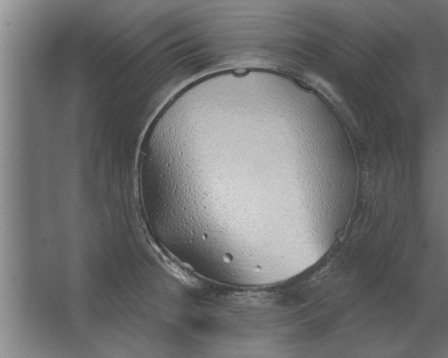 X0000062911236200601271731