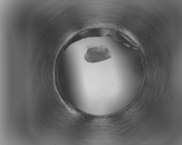 X0000062911237200601271731